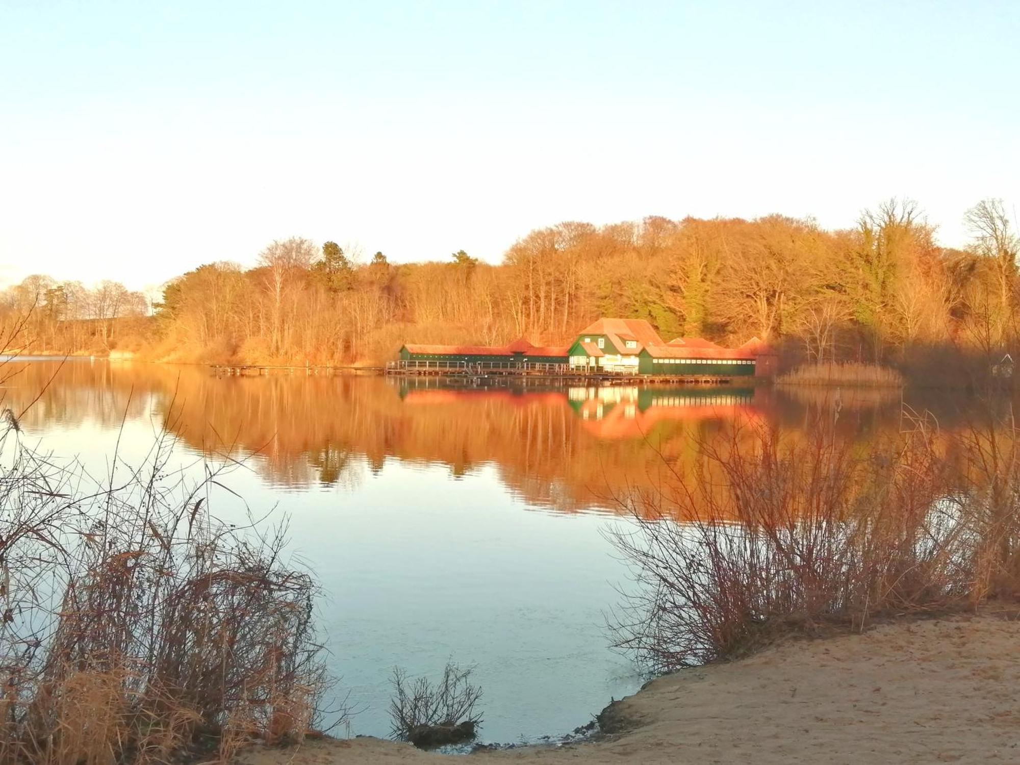 Kleines Ferienhaeuschen Im Garten Eutin Exteriör bild